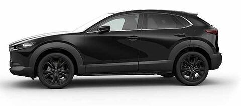 Mazda CX-30 2.5L Nagisa 2.5L Nagisa