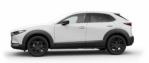 Mazda CX-30 2.0L e-SKYACTIV X 186ps Nagisa AT 