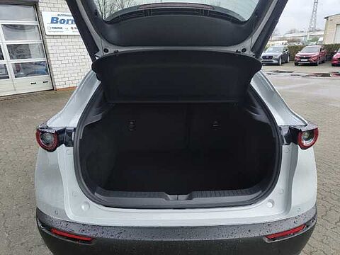 Mazda CX-30 2.5L e-SKYACTIV G 140ps Homura 